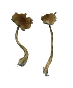 Alacabenzi